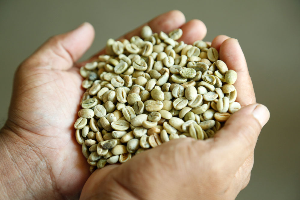 Prime grades of both Arabica and Robusta are subject to our specialized monsooning processes.